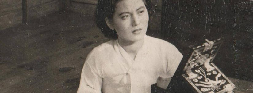 Cineclube Especial Coreia do Sul apresenta “A Viúva” nesta quinta-feira