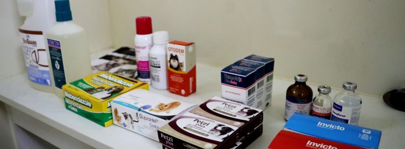 Ação com animais de pessoas em situação de rua Unidade Móvel CCZ-Foto Luís Gava(PMC) (5)