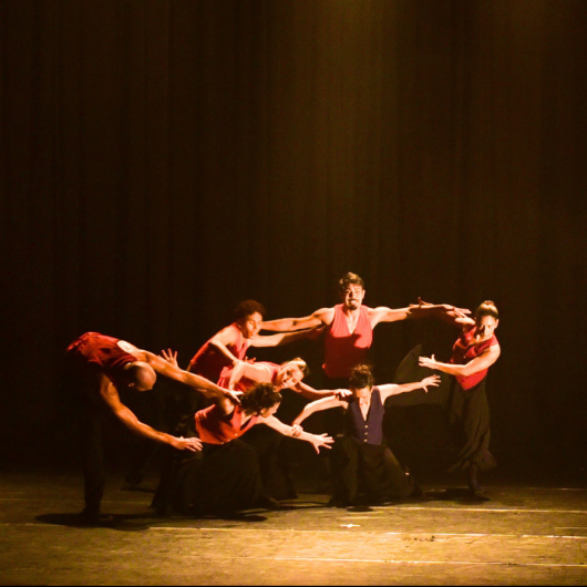 Corpo de Baile_Tiê_Foto Gianni D'Angelo (1)