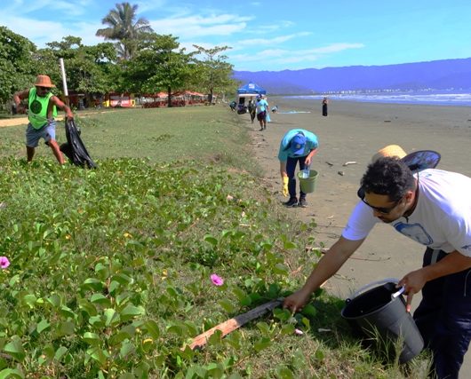 Caraguatatuba promove mutirão de limpeza na Praia do Porto Novo e convida população a participar