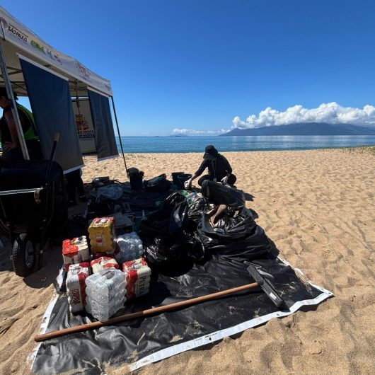 WhatsApp Image 2026-03-23 at 11.34.54