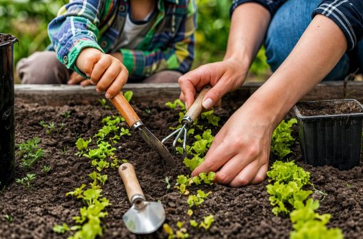 WhatsApp Image 2026-04-17 at 14.02.27