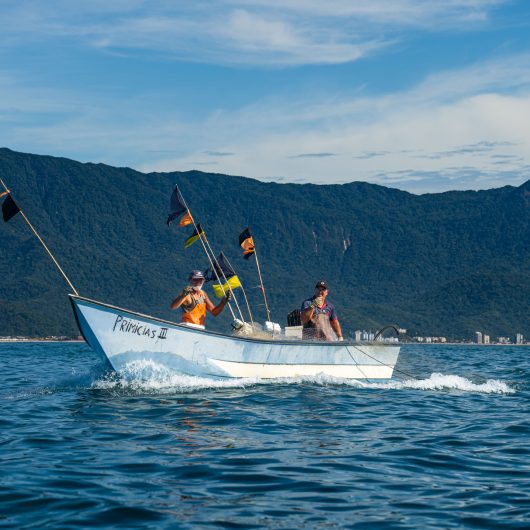 Pesca do camarão é retomada em Caraguatatuba após defeso e exige cumprimento de regras ambientais