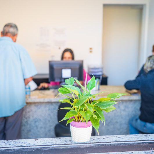 Inscrições do processo seletivo on-line de estágio da Prefeitura de Caraguatatuba para 37 cursos terminam na quarta-feira