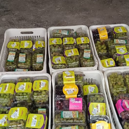 Doação de uvas e maçãs reforçam ações de segurança alimentar no Banco de Alimentos em Caraguatatuba