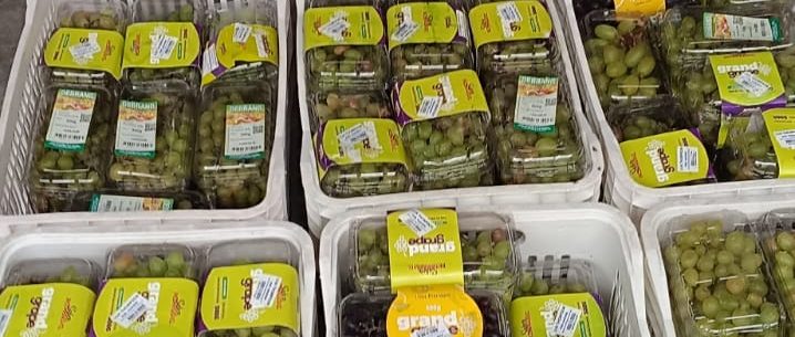 Doação de uvas e maçãs reforçam ações de segurança alimentar no Banco de Alimentos em Caraguatatuba
