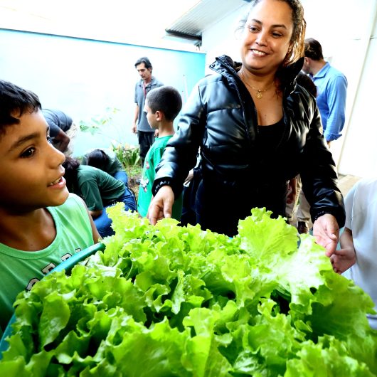Programa Horta nas Escolas leva educação ambiental e práticas sustentáveis a estudantes da rede municipal