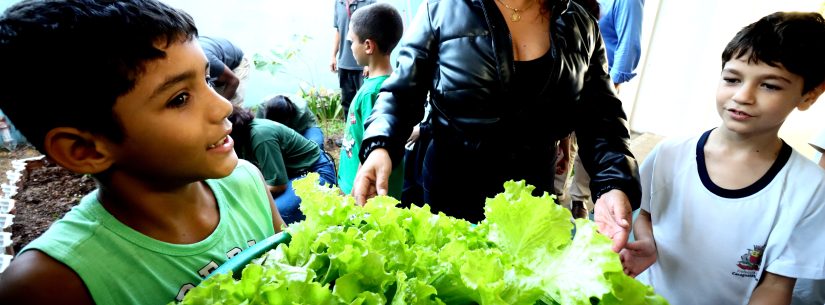 Programa Horta nas Escolas leva educação ambiental e práticas sustentáveis a estudantes da rede municipal