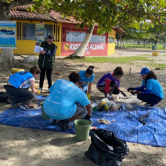 Ação de limpeza na Praia do Porto Novo recolhe mais de 500 resíduos durante mutirão ambiental