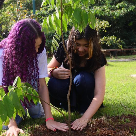 Estudantes da rede municipal participam de plantio de mudas e atividade de educação ambiental no Parque do Juqueriquerê