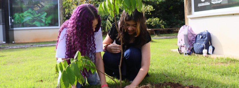 Estudantes da rede municipal participam de plantio de mudas e atividade de educação ambiental no Parque do Juqueriquerê