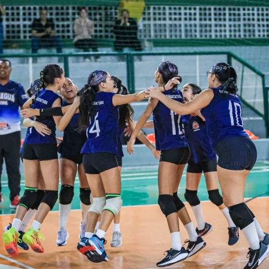 sub-13_volei (6)
