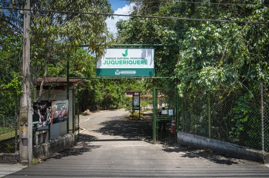Parque do Juqueriquerê abre inscrições para programa de voluntariado
