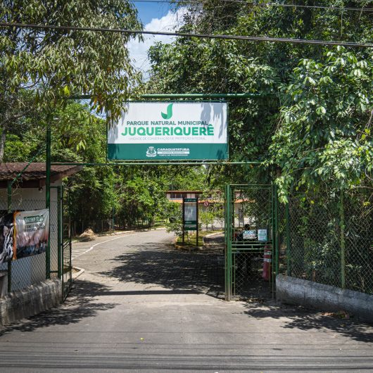 Parque do Juqueriquerê abre inscrições para programa de voluntariado