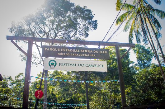 13º Festival do Cambuci movimenta Caraguatatuba com gastronomia trilhas e atrações culturais neste domingo