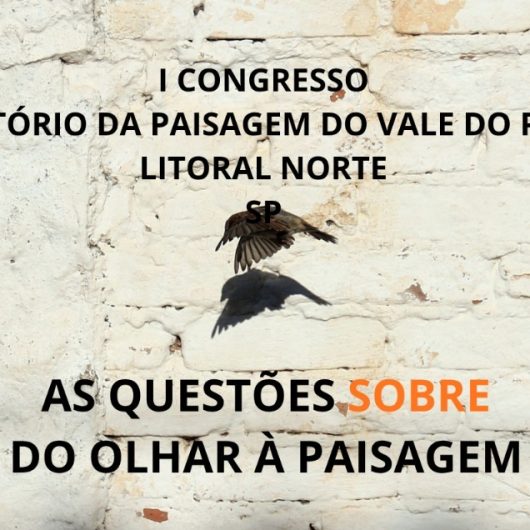 Arte_Congresso Observatório da Paisagem