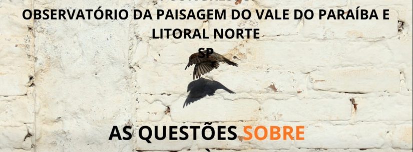 Arte_Congresso Observatório da Paisagem