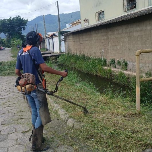 Roçada no Travessão (1)