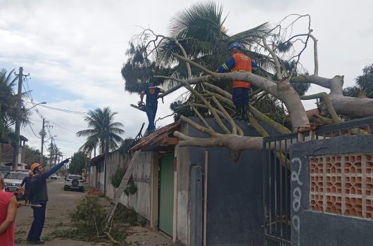 Plancon é colocado em prática durante ventania e coordena resposta integrada em Caraguatatuba