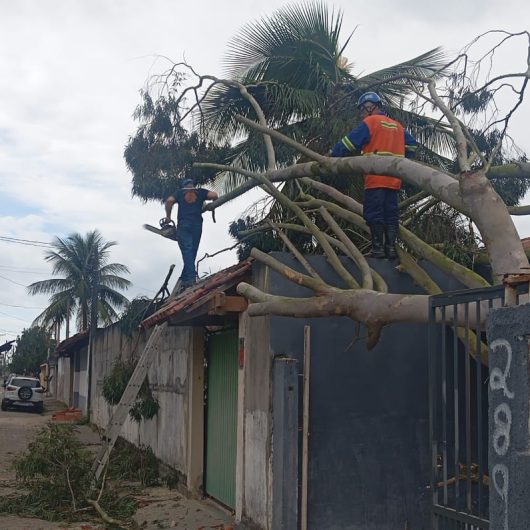 Plancon é colocado em prática durante ventania e coordena resposta integrada em Caraguatatuba