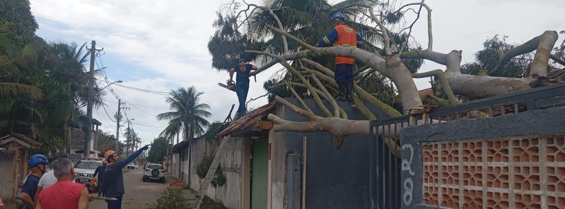 Plancon é colocado em prática durante ventania e coordena resposta integrada em Caraguatatuba