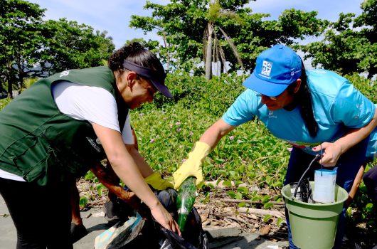 Praia do Porto Novo recebe mutirão de limpeza aberto a voluntários