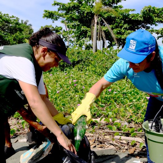 Praia do Porto Novo recebe mutirão de limpeza aberto a voluntários
