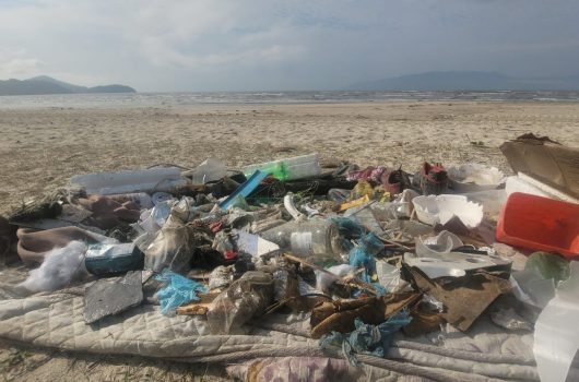 Ações ambientais recolhem 389 kg de resíduos e promovem conscientização em Caraguatatuba