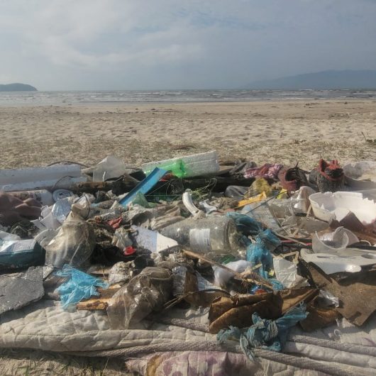 Ações ambientais recolhem 389 kg de resíduos e promovem conscientização em Caraguatatuba