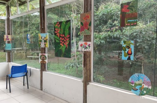 Arte inclusão e natureza marcam exposição do CIAPI no Parque do Juqueriquerê
