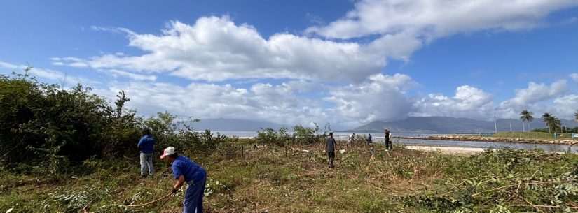 Prefeitura de Caraguatatuba recupera vegetação da Praia do Centro com poda de marmeleiro