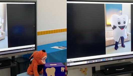 Estudantes e população de Caraguatatuba escolhem Kiko como nome do mascote da saúde bucal