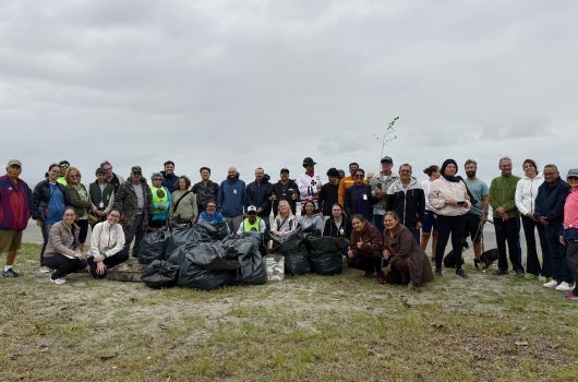Ação do Dia Mundial da Limpeza retira cerca de 300 quilos de resíduos da Praia das Palmeiras