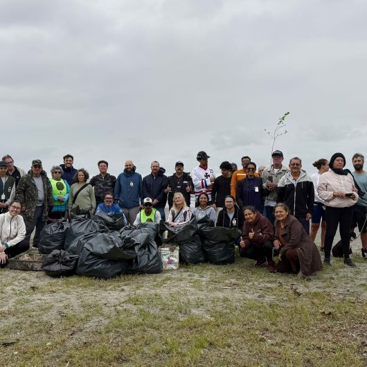 Ação do Dia Mundial da Limpeza retira cerca de 300 quilos de resíduos da Praia das Palmeiras