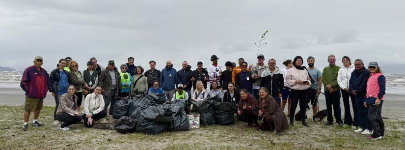 Ação do Dia Mundial da Limpeza retira cerca de 300 quilos de resíduos da Praia das Palmeiras