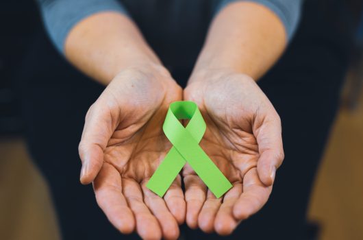Sepedi e Comdefi realizam ações de conscientização na campanha “Setembro Verde – Inclusão se faz no cotidiano”