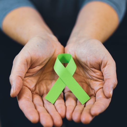 Sepedi e Comdefi realizam ações de conscientização na campanha “Setembro Verde – Inclusão se faz no cotidiano”