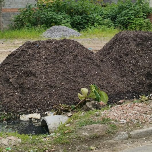 Prefeitura atua para preservar áreas públicas no Jardim das Palmeiras em Caraguatatuba
