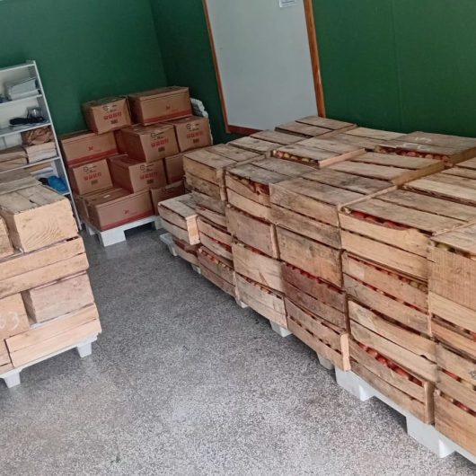 Caraguatatuba recebe primeira doação do Programa de Aquisição de Alimentos e beneficia cerca de 700 pessoas