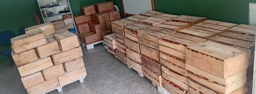 Caraguatatuba recebe primeira doação do Programa de Aquisição de Alimentos e beneficia cerca de 700 pessoas