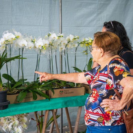Exposição de Orquídeas em Caraguatatuba atrai visitantes de quatro estados brasileiros e 56 cidades