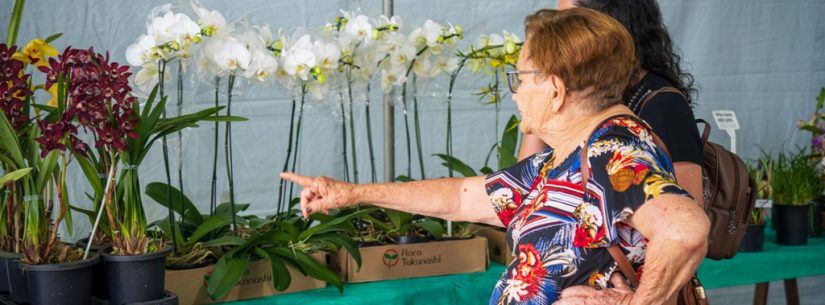Exposição de Orquídeas em Caraguatatuba atrai visitantes de quatro estados brasileiros e 56 cidades