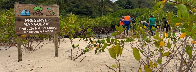 Manguezais de Caraguatatuba protegem a biodiversidade e ajudam a reduzir os impactos dos desastres naturais