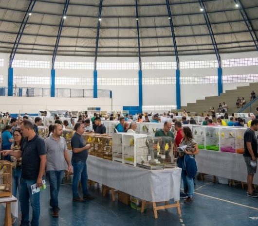 Coliseu do Perequê-Mirim recebe competição de canto de pássaros neste domingo