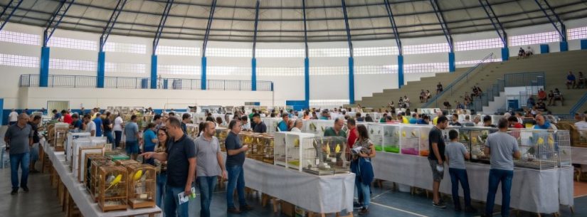 Coliseu do Perequê-Mirim recebe competição de canto de pássaros neste domingo