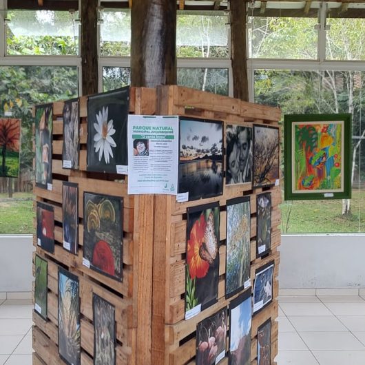Parque do Juqueriquerê recebe exposição fotográfica “O vento levou” até 30 de novembro